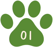POINT01