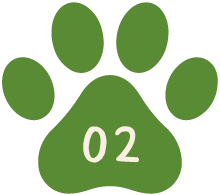 POINT02